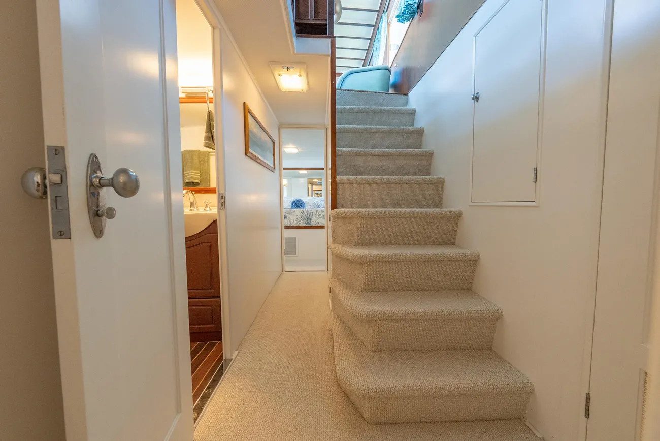 Thumbnail von Trumpy 62