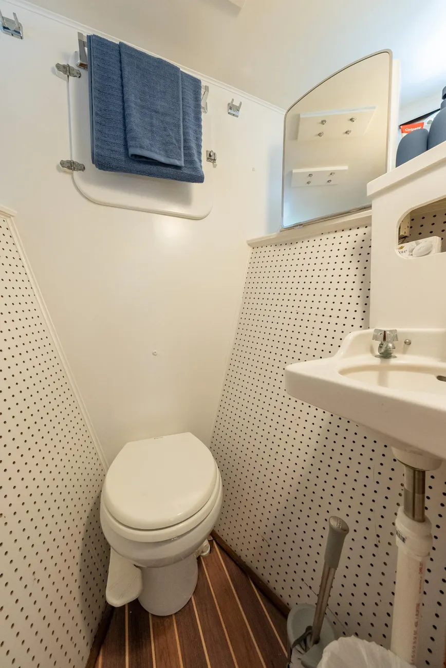 Thumbnail von Trumpy 62