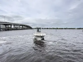 Thumbnail von Boston Whaler 280 Dauntless