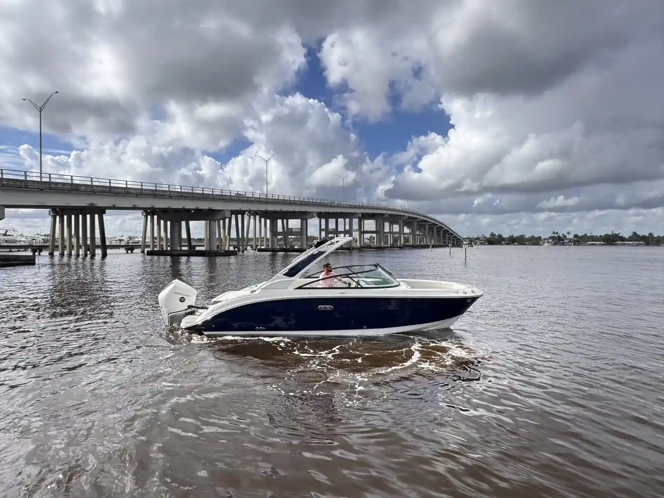 シー レイ サン スポーツ 250