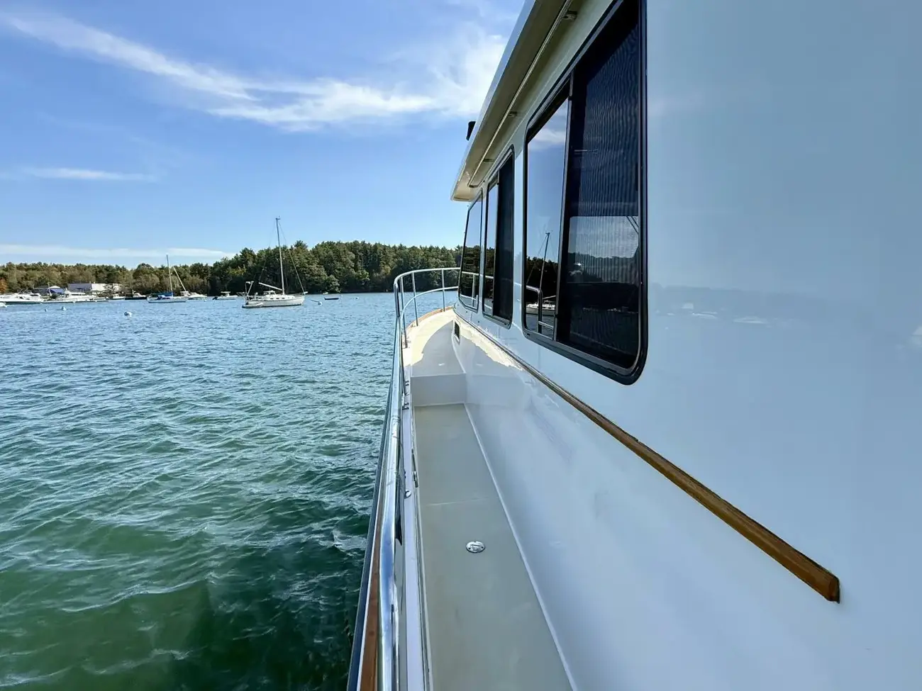 Thumbnail von Sabre 42 Lucky Chicklette