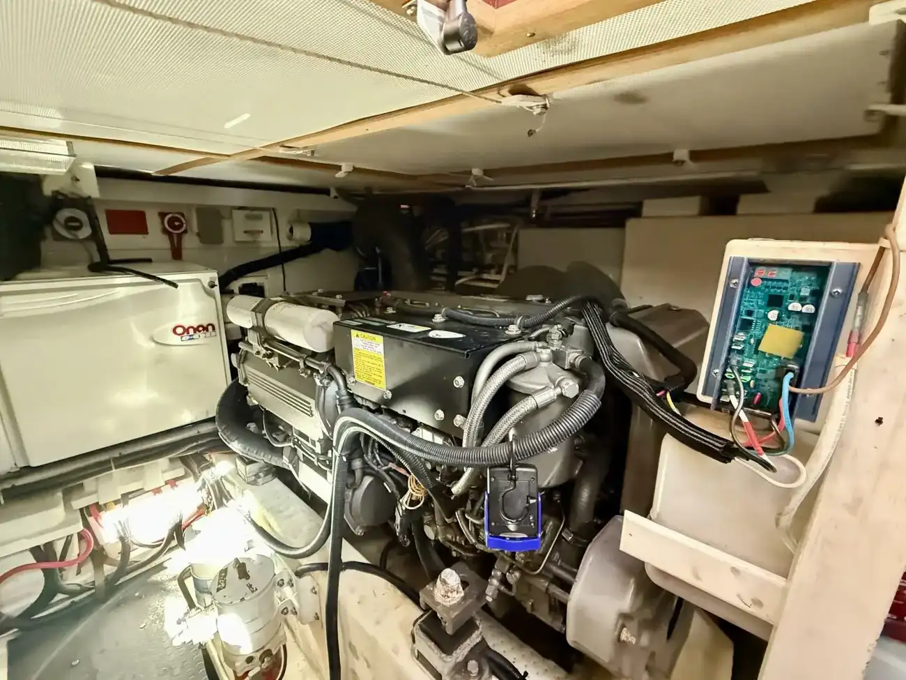 Thumbnail von Sabre 42 Lucky Chicklette