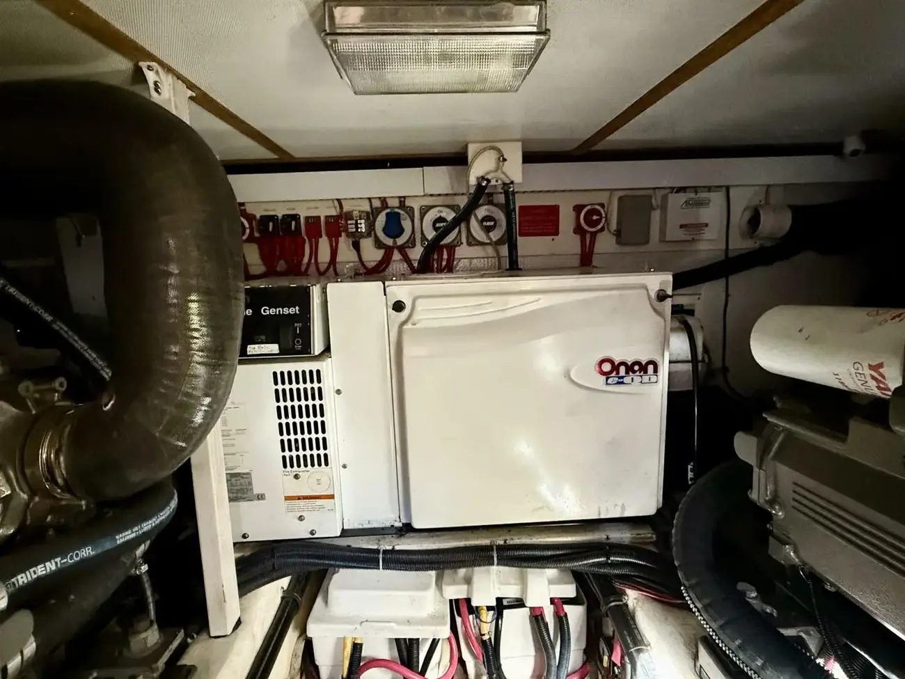 Thumbnail von Sabre 42 Lucky Chicklette