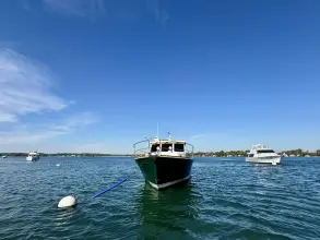 Thumbnail von Sabre 42 Lucky Chicklette