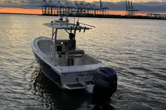 Custom Dominion 23 Tina Colada