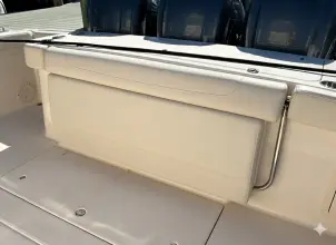 Thumbnail von Grady White Canyon 376