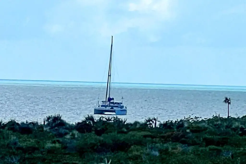 Thumbnail von Dolphin 450 Miss Roxy