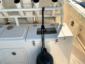 Thumbnail von Grady White Canyon 336