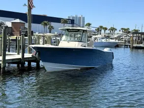 Thumbnail von Grady White Canyon 336