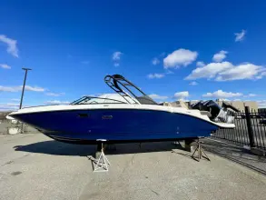Sea Ray SDX 290 Outboard