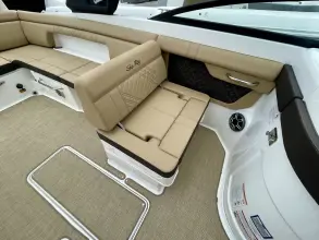 Thumbnail von Sea Ray SDX 290 Dıştan Takma Motor