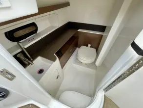 Thumbnail von Sea Ray SDX 290 Dıştan Takma Motor