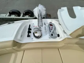 Thumbnail von Sea Ray SDX 290 Dıştan Takma Motor