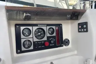 Thumbnail von Sceptre 43 Pacific Wind