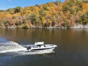 Thumbnail von Boston Whaler 360 Outrage