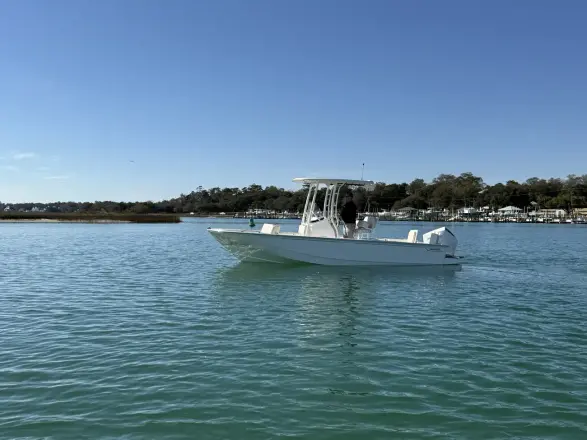 Boston Whaler 210 Montauk