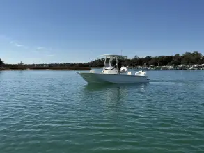 Thumbnail von Boston Whaler 210 Montauk