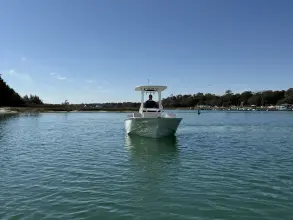 Thumbnail von Boston Whaler 210 Montauk