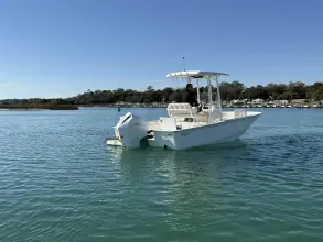 Thumbnail von Boston Whaler 210 Montauk