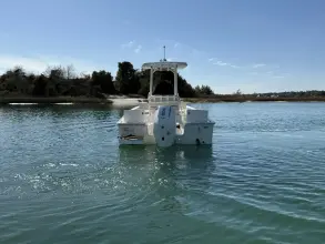 Thumbnail von Boston Whaler 210 Montauk
