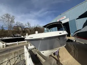 Thumbnail von Sea Ray Sun Sport 250