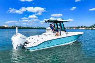 Thumbnail von Boston Whaler 280 Dauntless