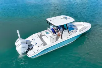 Thumbnail von Boston Whaler 280 Dauntless