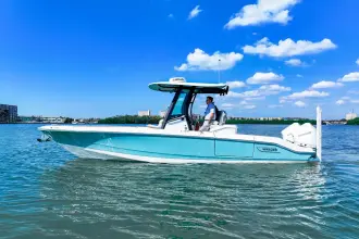 Thumbnail von Boston Whaler 280 Dauntless