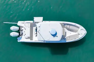 Thumbnail von Boston Whaler 280 Dauntless