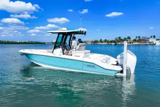 Thumbnail von Boston Whaler 280 Dauntless