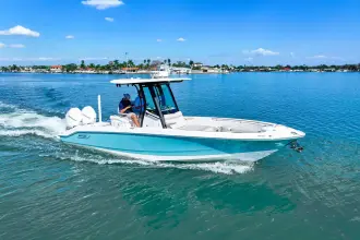 Thumbnail von Boston Whaler 280 Dauntless