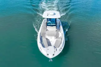 Thumbnail von Boston Whaler 280 Dauntless