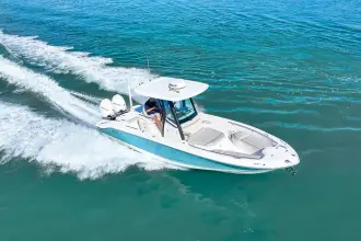 Thumbnail von Boston Whaler 280 Dauntless
