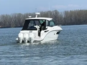 Thumbnail von Sea Ray 320 Sundancer