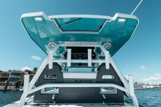 Thumbnail von Blackfin 332 CC