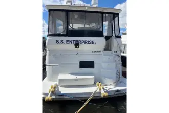 Thumbnail von Carver 466 モーターヨット