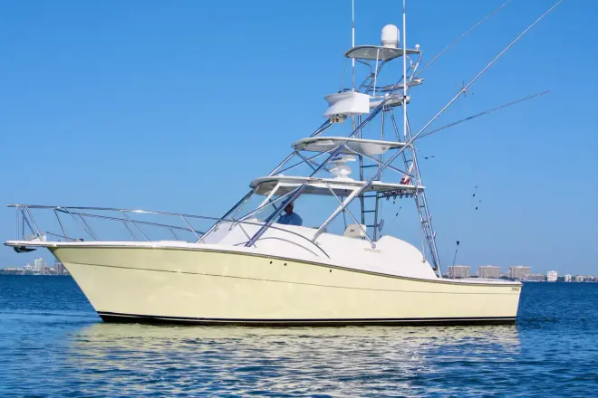 Topaz Express Cruiser Amelia