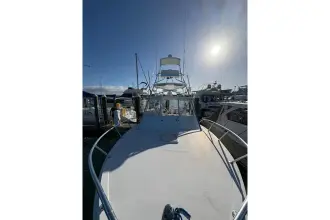 Thumbnail von Topaz Express Cruiser Amelia