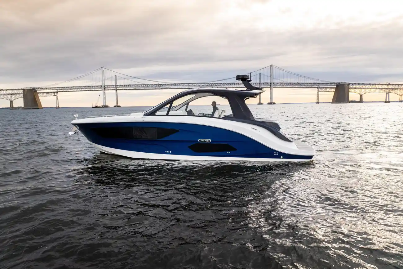 シー・レイ 370 サンダンサー Nauti Tiger