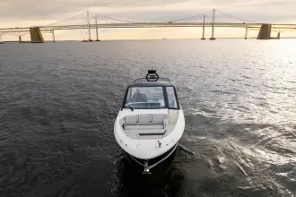 Thumbnail von シー・レイ 370 サンダンサー Nauti Tiger