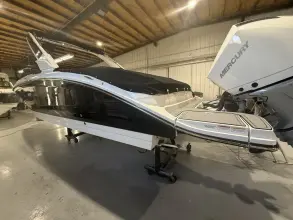 Thumbnail von Sea Ray SDX 290 s motorem