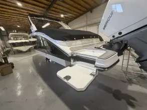 Thumbnail von Sea Ray SDX 290 s motorem