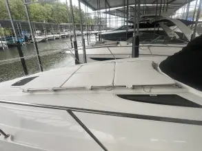 Thumbnail von シー・レイ 370 サンダンサー