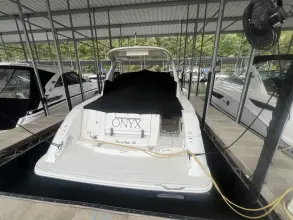 Thumbnail von シー・レイ 370 サンダンサー