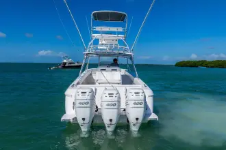 Thumbnail von Intrepid 400 Cuddy