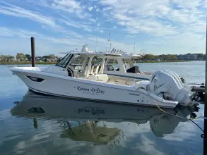 Thumbnail von Pursuit S 378