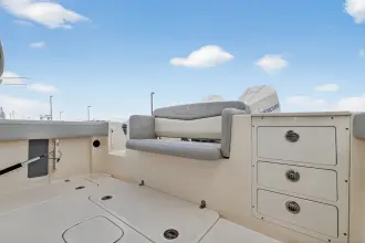 Thumbnail von Scout 305 LXF