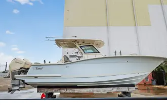 Thumbnail von Scout 305 LXF