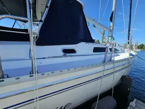 Thumbnail von カタリナ 470 サプライズ