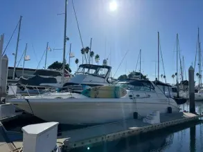 Thumbnail von Sea Ray 330 Sundancer Knoten für Segel